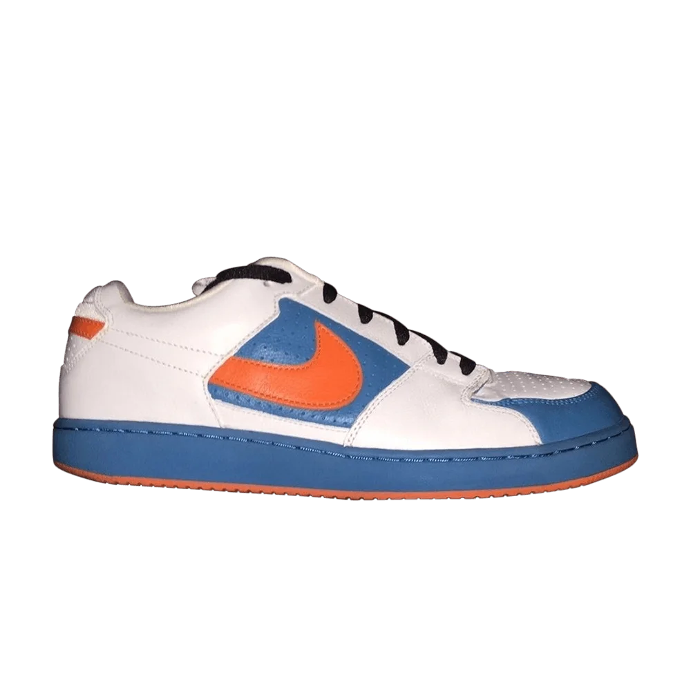 Krossovki-Nike-Team-Edition-Sb