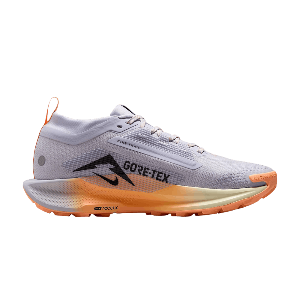 Кроссовки Nike Wmns Pegasus Trail 5 GORE-TEX 'Ghost Orange Pulse'