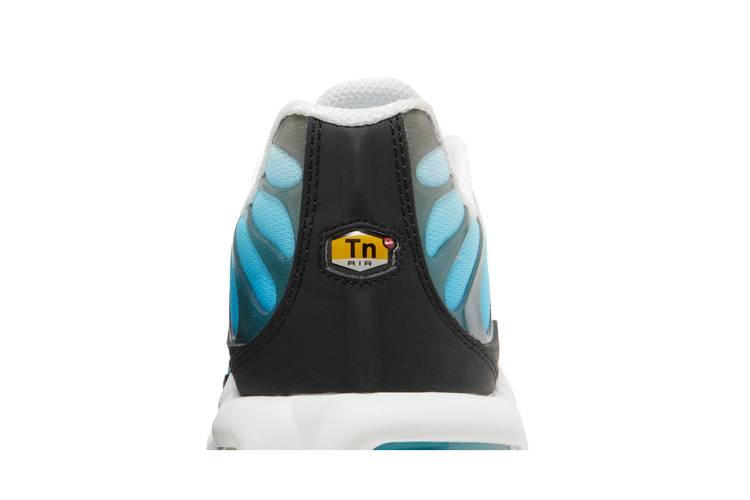 Кроссовки Nike Air Max Plus 'Baltic Blue'