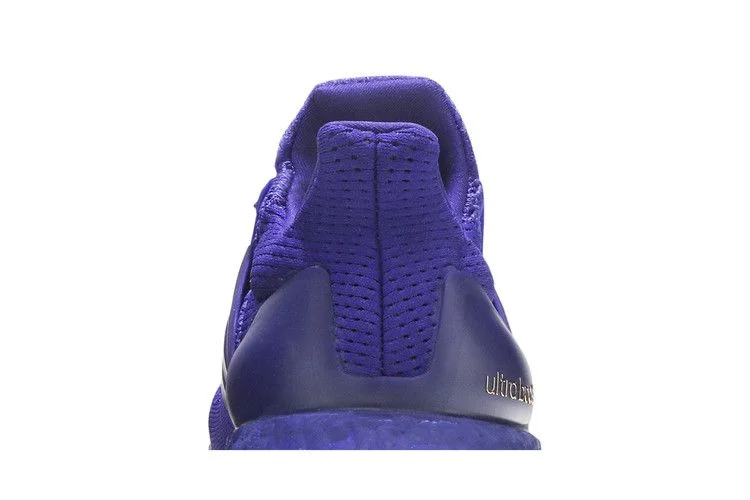 Krossovki-Adidas-UltraBoost-1.0-NCAA-Pack-Washington-6