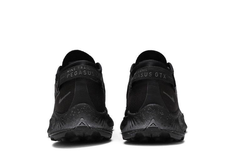 Кроссовки Nike Wmns Pegasus Trail 2 Gore-Tex 'Black Metallic Dark Grey'