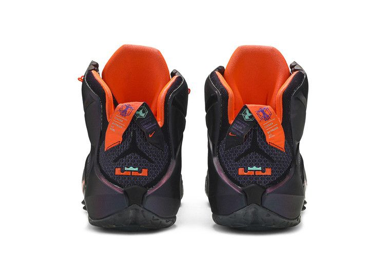 lebron-12-instinct-684593-583_05
