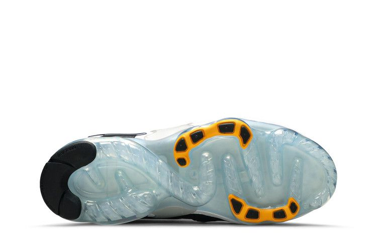 Кроссовки Nike Wmns Air VaporMax EVO 'Evolution of Icon'