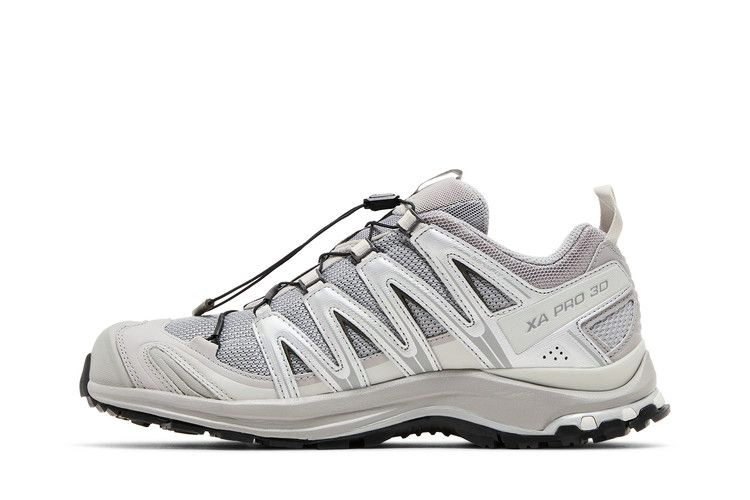 Кроссовки Salomon XA Pro 3D 'Alloy Silver'