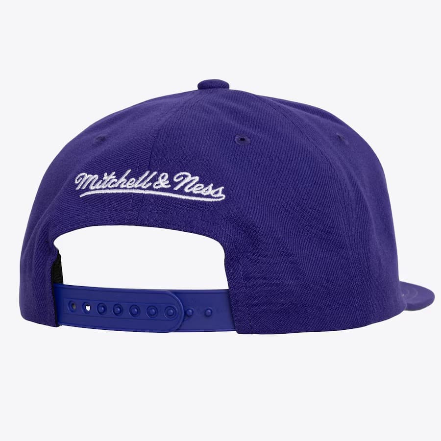 Бейсболка Mitchell & Ness Purple Toronto Raptors Hardwood Classics XL Logo Snapback Hat