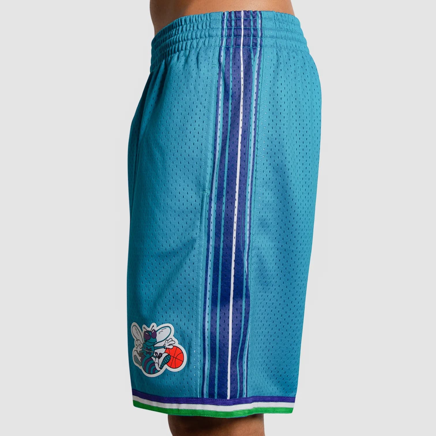 Спортивные шорты Mitchell & Ness Charlotte Hornets 1999-00 Hardwood Classics Throwback Swingman NBA Shorts