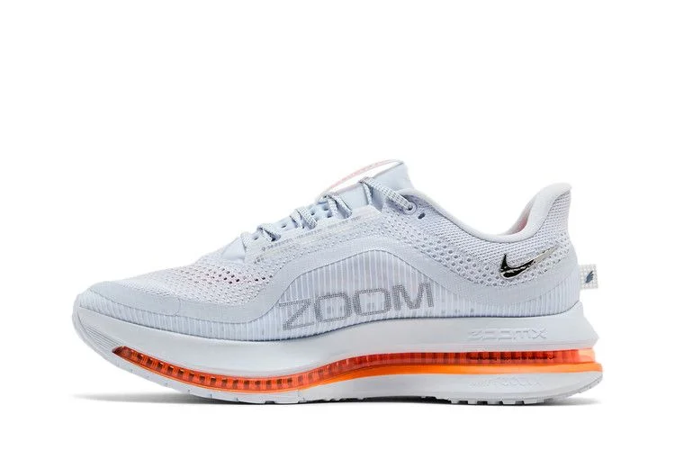 Кроссовки Nike Wmns Pegasus Premium 'Airscape'
