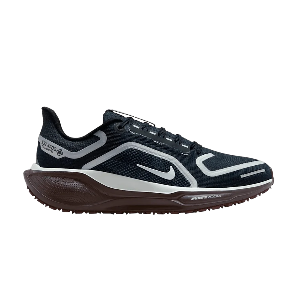 Krossovki-Nike-Wmns-Air-Zoom-Pegasus-41-GORE-TEX-Dark-Obsidian-Anthracite-Pure-Platinum