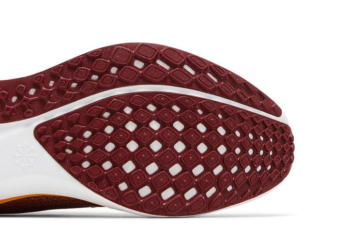 Кроссовки NFL x Nike Air Zoom Pegasus 41 'Washington Commanders'
