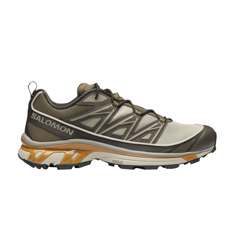 Кроссовки Salomon XT-6 Expanse 'Feather Grey Golden Oak'