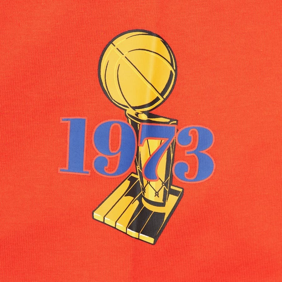 Футболка Mitchell & Ness Orange New York Knicks Team OG 3.0 Vintage T-Shirt