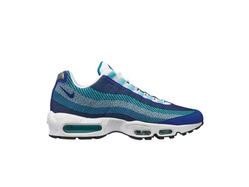 Кроссовки Nike Air Max 95 JCRD Game Royal