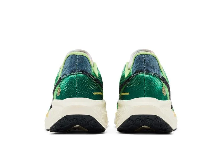 Кроссовки Nike Air Zoom Pegasus 41 'International Running Pack'