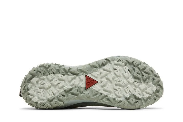 Кроссовки Nike ACG Mountain Fly 2 Low GORE-TEX 'Phantom Light Silver'