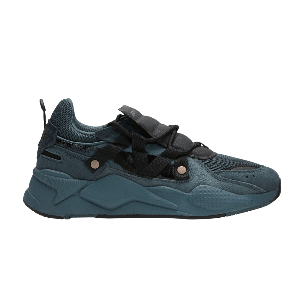 rs-x-diy-385911-01