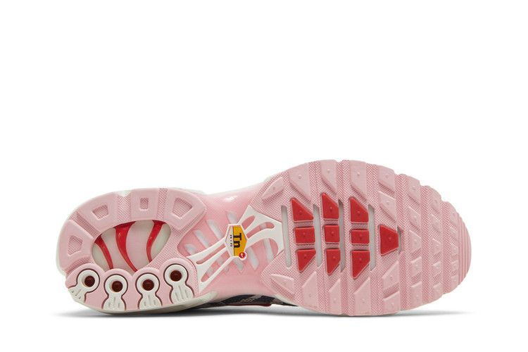 Кроссовки Nike Wmns Air Max Plus 'Animal Instinct'