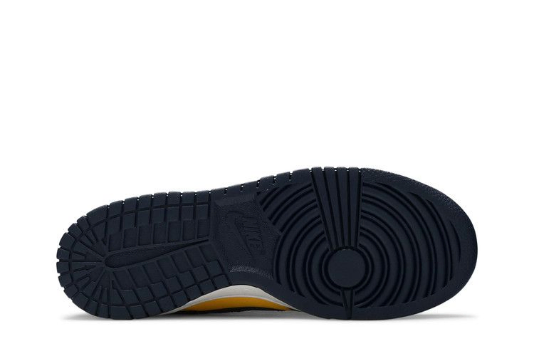 dunk-low-gs-michigan-2021-cw1590-700_03