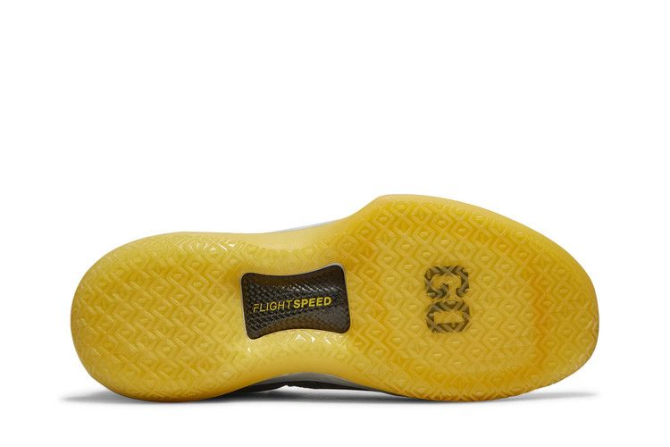 air-jordan-32-low-michigan-wolverines-aa1256-405_03