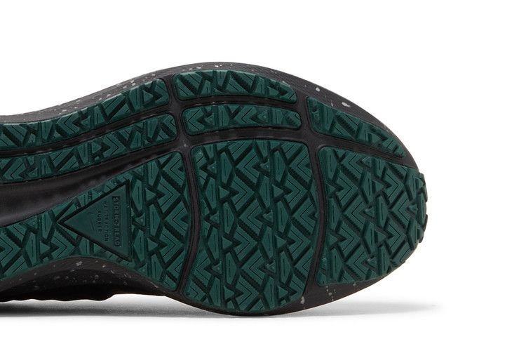 Кроссовки Nike Wmns Air Zoom Pegasus 39 Shield 'Bling'