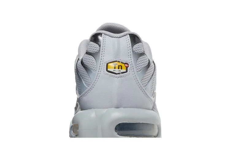 Кроссовки Nike Air Max Plus TN 'Wolf Grey'
