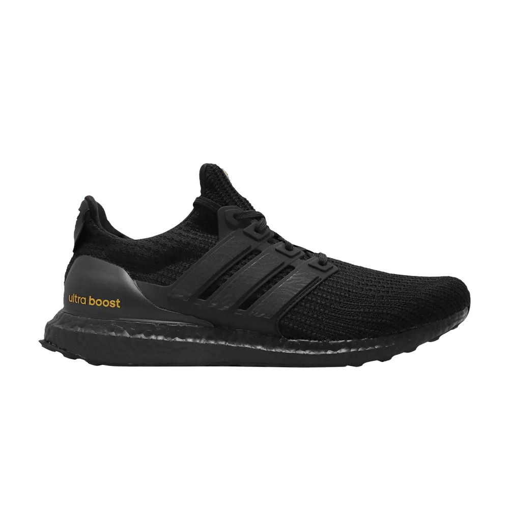 Krossovki-adidas-UltraBoost-4.0-DNA-Taipei