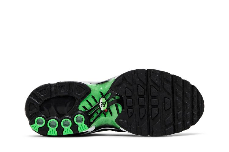 Кроссовки Nike Air Max Plus GS 'Deep Royal Scream Green'