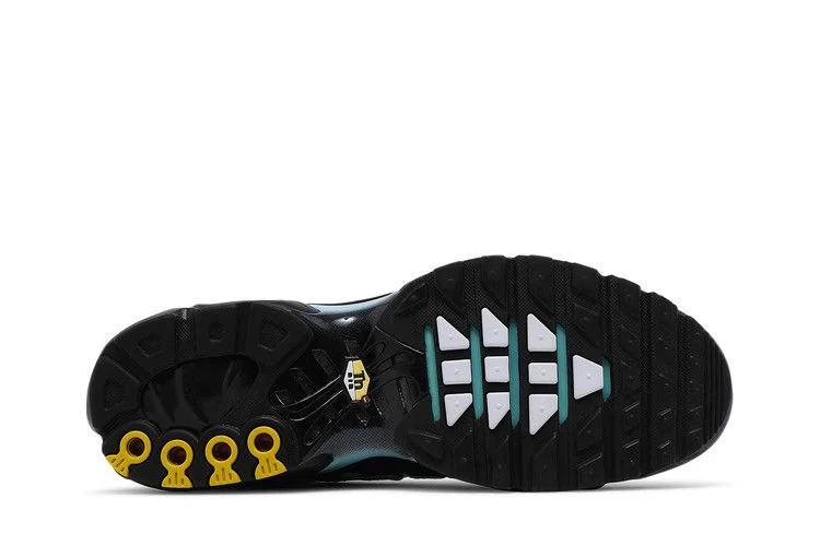Кроссовки Nike Air Max Plus 'Aqua Silver'