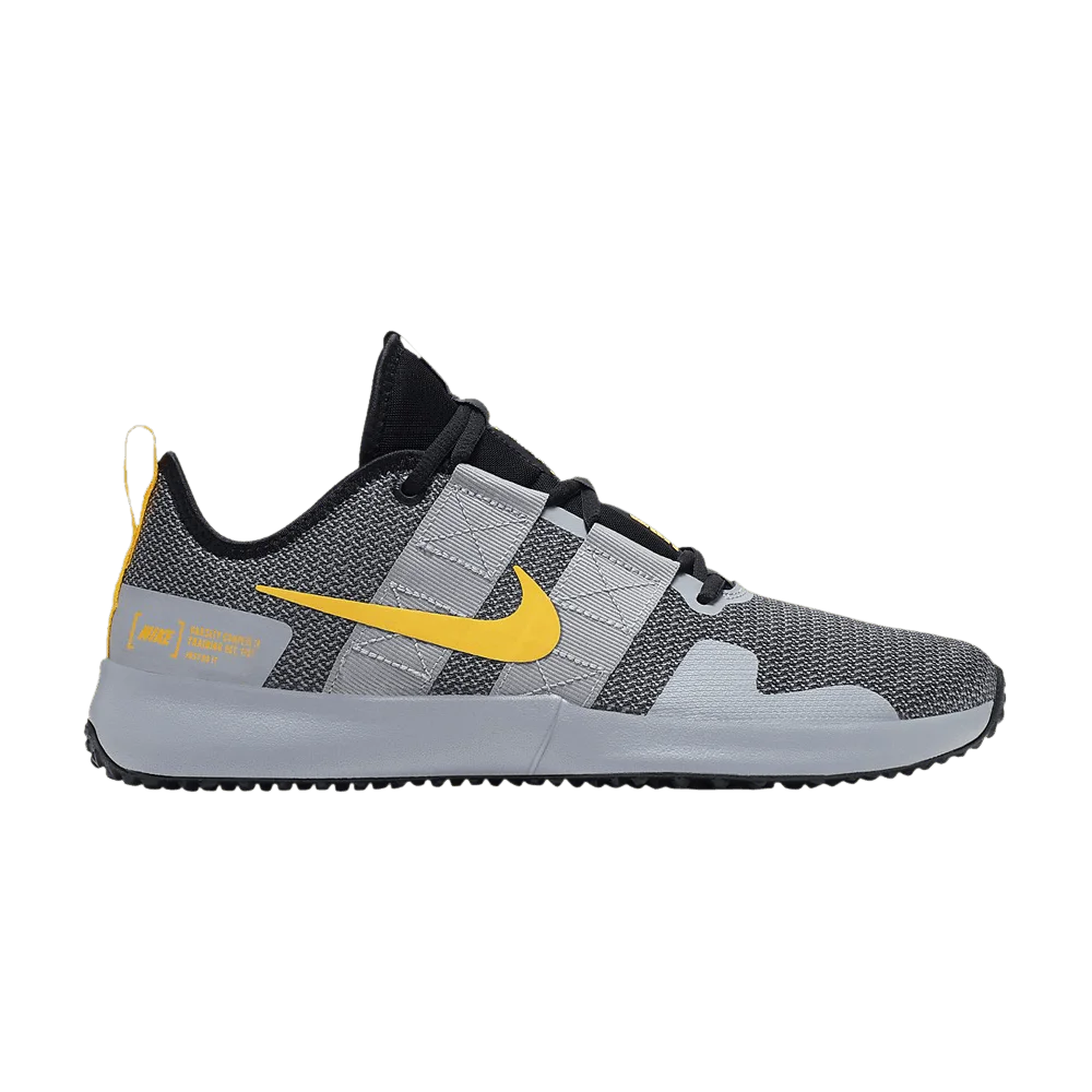 Krossovki-Nike-Varsity-Compete-TR-2-Atmosphere-Grey