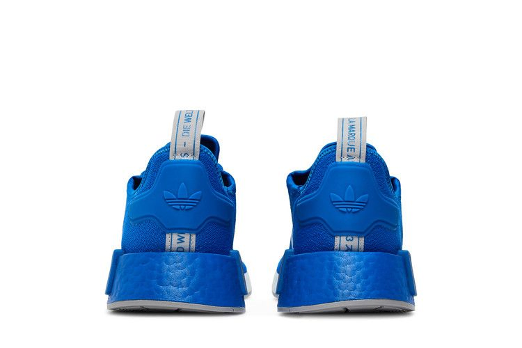 Кроссовки Adidas NMD_R1 'Blue Bird'