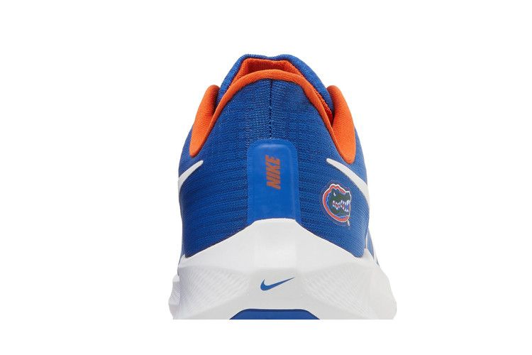 Кроссовки Nike Air Zoom Pegasus 39 'Florida Gators'