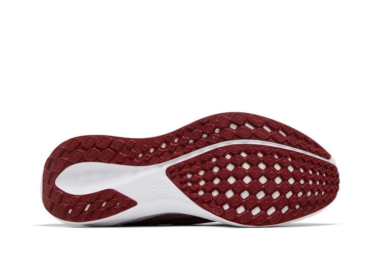 Кроссовки Nike Air Zoom Pegasus 41 'Alabama 2024'