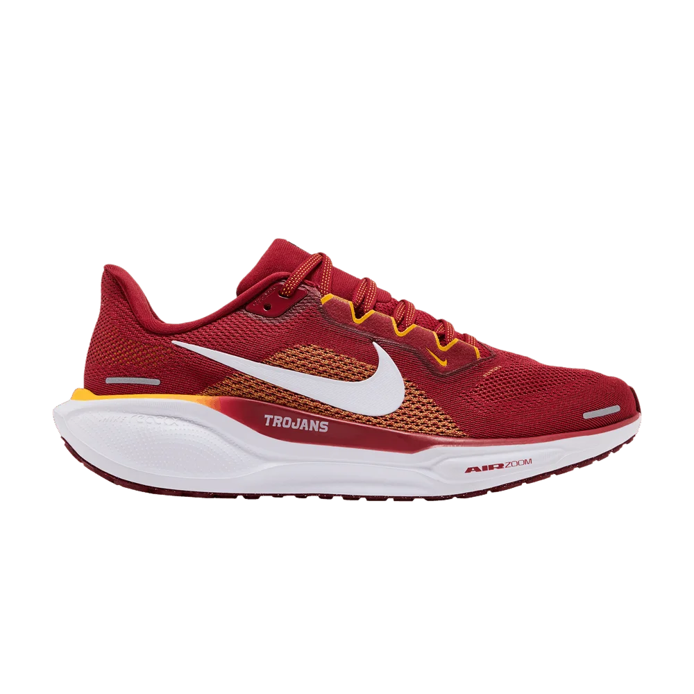Krossovki-Nike-Air-Zoom-Pegasus-41-USC
