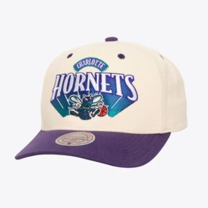 Mitchell-Ness-Cream-Charlotte-Hornets-Hardwood-Classics-Horizon-Pro-Crown-Snapback-Hat-300x300