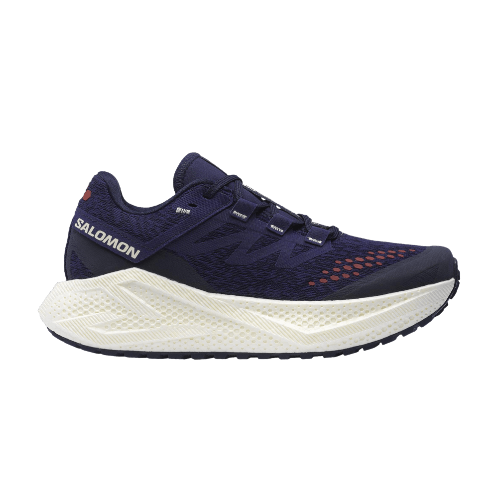 Кроссовки Salomon Wmns Aero Glide 3 GRVL 'Astral Aura'