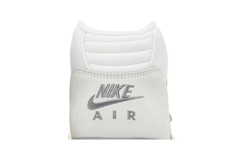 Кроссовки Nike Air Trainer 1 'Photon Dust'