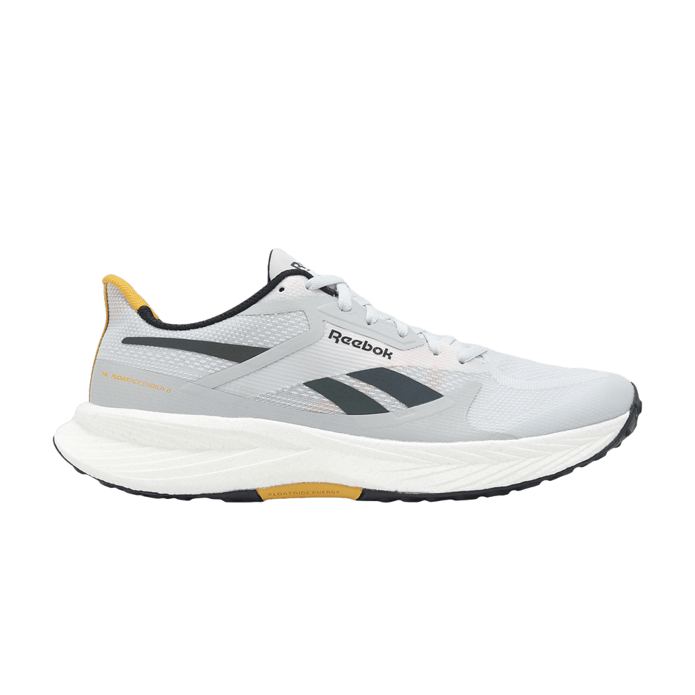 Кроссовки Reebok Floatride Energy 6 'Moon Grey Heritage Gold'