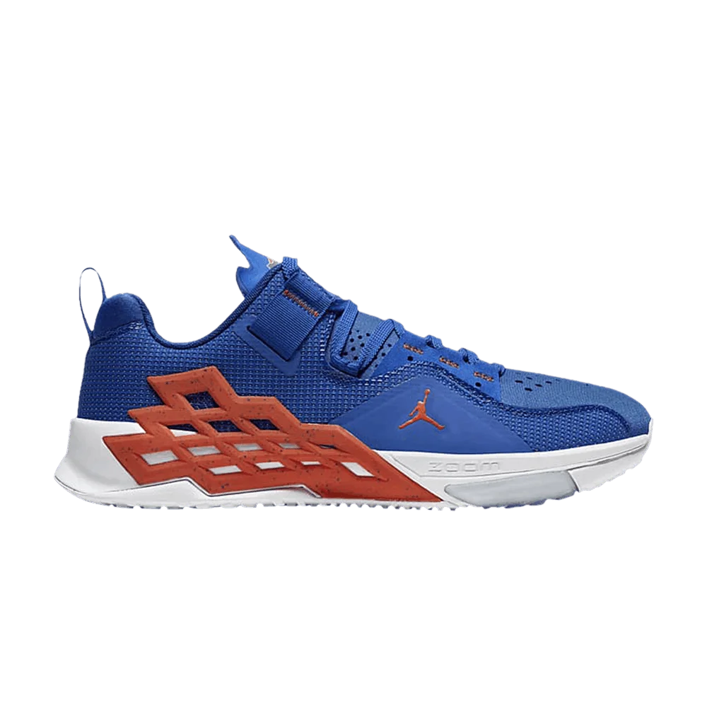 Krossovki-Air-Jordan-Alpha-360-TR-Florida