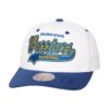 Mitchell-Ness-Tail-Sweep-Pro-Snapback-Golden-State-Warriors-Hat-100x100
