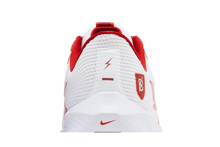 Кроссовки Nike Air Zoom Pegasus 40 'Bowerman Track Club'