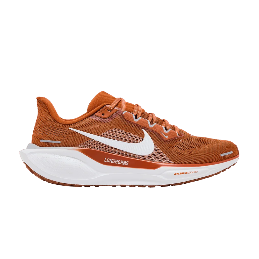 Кроссовки Nike Air Zoom Pegasus 41 'Texas 2024'