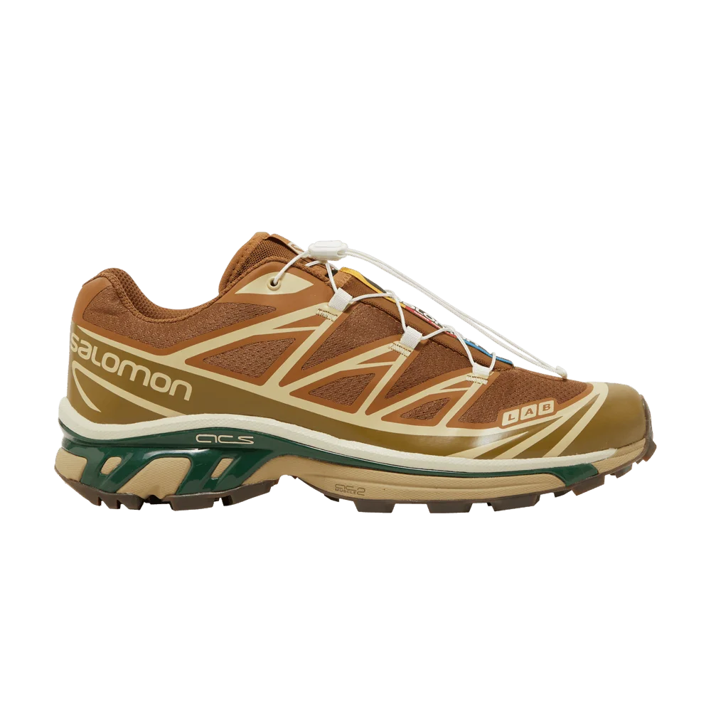 Krossovki-Salomon-XT-6-Rubber-Lizard