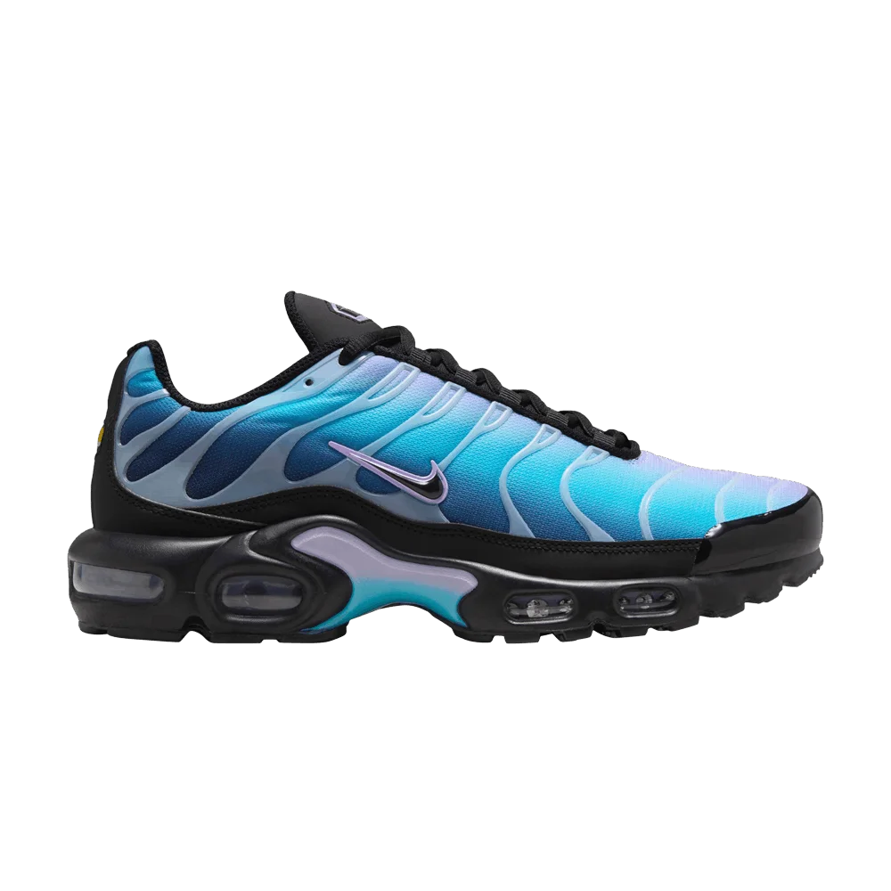 Krossovki-Nike-Wmns-Air-Max-Plus-Black-Hydrangeas