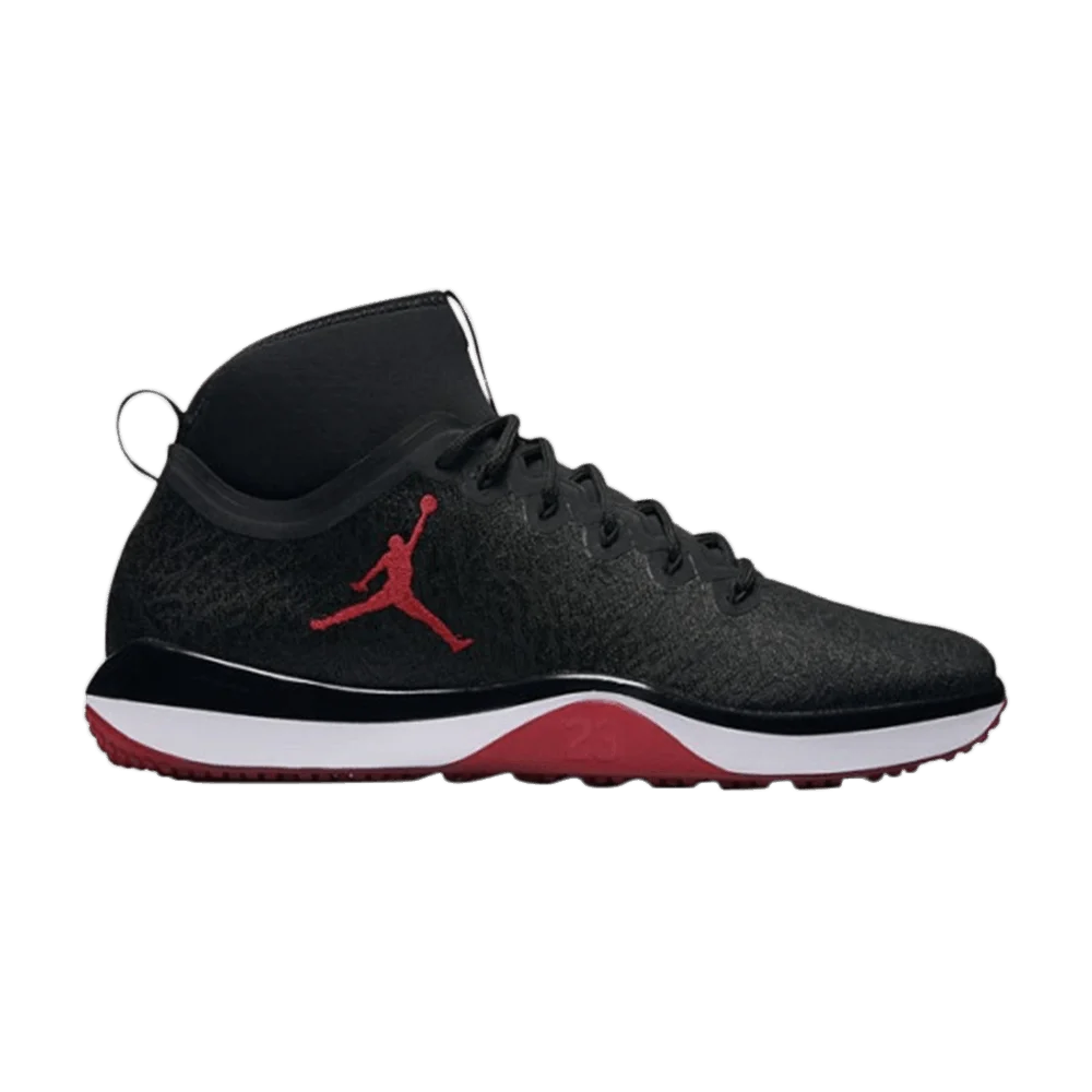 Krossovki-Air-Jordan-Trainer-1