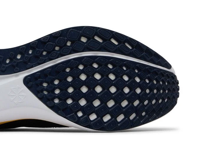Кроссовки Nike Air Zoom Pegasus 41 'Michigan'