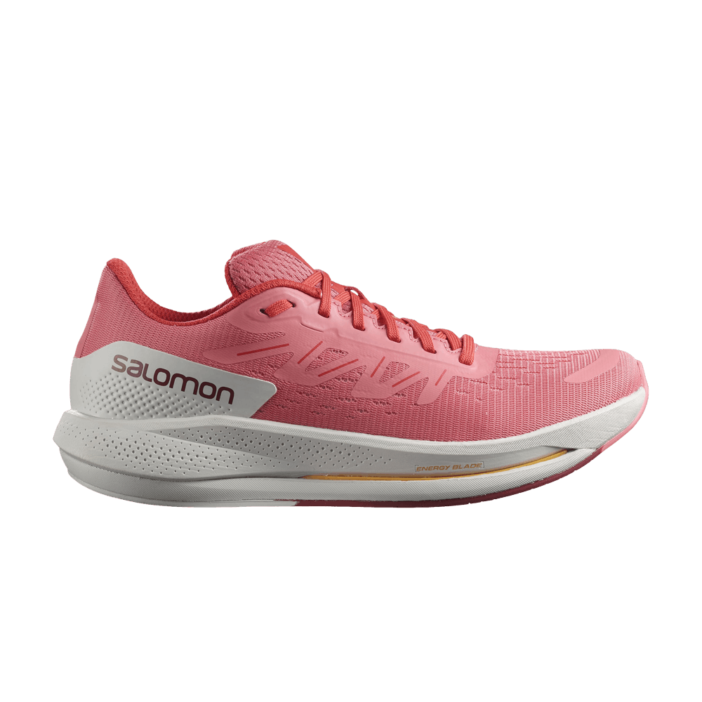 Кроссовки Salomon Wmns Spectur 'Tea Rose'